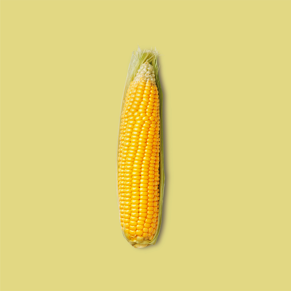 Proteína de maíz